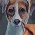 Малюємо собаку How To Paint A Dog With Gouache