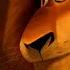 Мадагаскар 2005 кино Alex мультик Marty Madagascar Madagascar1 мультфильм