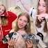 проиграли всё в аифоны Dasha Da Wowveronica