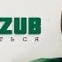 Electrozub Вернуться