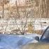 Chevrolet Niva LE Semi Offroad Driving In 4k 3840х2160