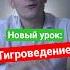 Новый урок Тигроведение введут в школах Приморского края вуз егэ школа поступление