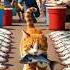 Cat Jailed For Stealing Fish Cat Cute Jail Fish Funny Catlover Shorts