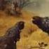 Alexander Glazunov Finnish Fantasy Op 88 1909 Svetlanov