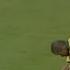 Unforgettable Goals In Football History