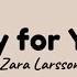 Eminem Zara Larsson Ft Emmi Try For You Lyrics