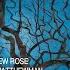 Winterreise Op 89 D 911 No 19 Tauschung