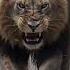 Masta Mastaapp Lion The King Of Kings And Jungle