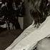 Carla Morrison Disfruto Amice Remix