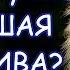 Почему у льва большая грива Задай вопрос