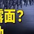 打破常規 中南海新主與習並肩坐 禁衛軍插手政局 傳曾慶紅出事 數百人上書胡錦濤控告習近平 紅朝禁聞