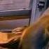 Oлег Кваша Пой бродяга Wmv