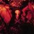 Caledonian Acolyte 2002 Full Album