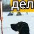 A PICKE A TOOL FOR SURVIVAL Do It Yourself Ice Pick For Winter Fishing