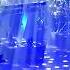 Saga Ice Nice Live Excerpt 2020 3 3 Oberhausen