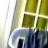 Freaked Out Cat Watching Cyriak S Meow Mix