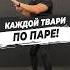 КАЖДОЙ ТВАРИ ПО ПАРЕ