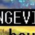 Angevin 1 Hour