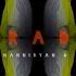 RG Hakob Ft Seda Hovhannisyan Anveradardz Official Audio New 2023