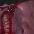 F Virtue Nowadays It S So Cool To Be Gay I Smile With Blood In My Teeth Ft Rozay LaBeija