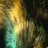 The Hobbit An Unexpected Journey Trailer 3 HD