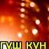 ФАРАНГИС ДУНЁ ШАБИ МАХТОБ КАРАОКЕ FARANGIS DUNYO SHABI MAHTOB KARAOKE