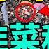 北京發生暴亂 大興上百名村民圍攻北京政府抗議 怒吼 還我公道 遭警察維穩 開發商 政府聯手 割韭菜 揭露安置房裡的 殺豬盤 中國人在政府眼中是賤民 是韭菜