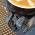 Angel Latte Art Shorts