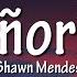 Shawn Mendes Camila Cabello Señorita Lyrics
