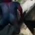 Awake And Alive Spider Man AMV