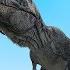 THE T REX STOMPING LAND NPC FIGHTS