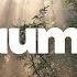 Psaume 3 Implore Le Secours Divin Le Bouclier De Dieu