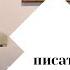 Всеволод Никанорович Иванов писатель мыслитель Хабаровский период