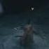 Sekiro Shadows Die Twice Second Snake Heart Path