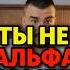 Ты не альфа самец психология развитие мотивация отношения