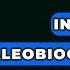 How Are Index Fossils Used In Paleobiogeography Biology For Everyone