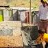 Caught Between Threats And Rebuilding Will The Nomadic Mother Survive