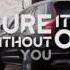 Avicii Without You Lyrics Video