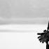 Igorrr IeuD OFFICIAL VIDEO