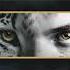 Woody Van Eyden Cheryl Barnes Electricity Extended Mix NOCTURNAL KNIGHTS MUSIC