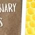 The Extraordinary Life Of Bees From Pollination To Hive Harmony