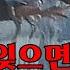정말 이 XXX들은 사람이 아니다 영화 흑태양 731 마루타 리뷰