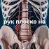 Как перекатывать таз Плоский живот