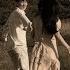 Taylor Swift Lover Lofi Remix Feat Shawn Mendes
