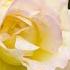 Music For The Soul You Can Listen To This Music Forever Great Music Sergey Grischuk 15