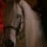 Game Of Thrones Song The Rains Of Castamere Choral Version