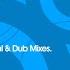 Salt Dub Mix