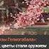 Розы Гелиогабала как безобидные лепестки стали смертельным оружием