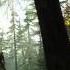 The Last Of Us Chapter 7 Tommy S Dam 2 2 Ranch House SURVIVOR Walkthrough