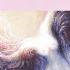 Swan Lake Act III Op 20 TH 12 No 21 Spanish Dance Allegro Non Troppo Tempo Di Bolero